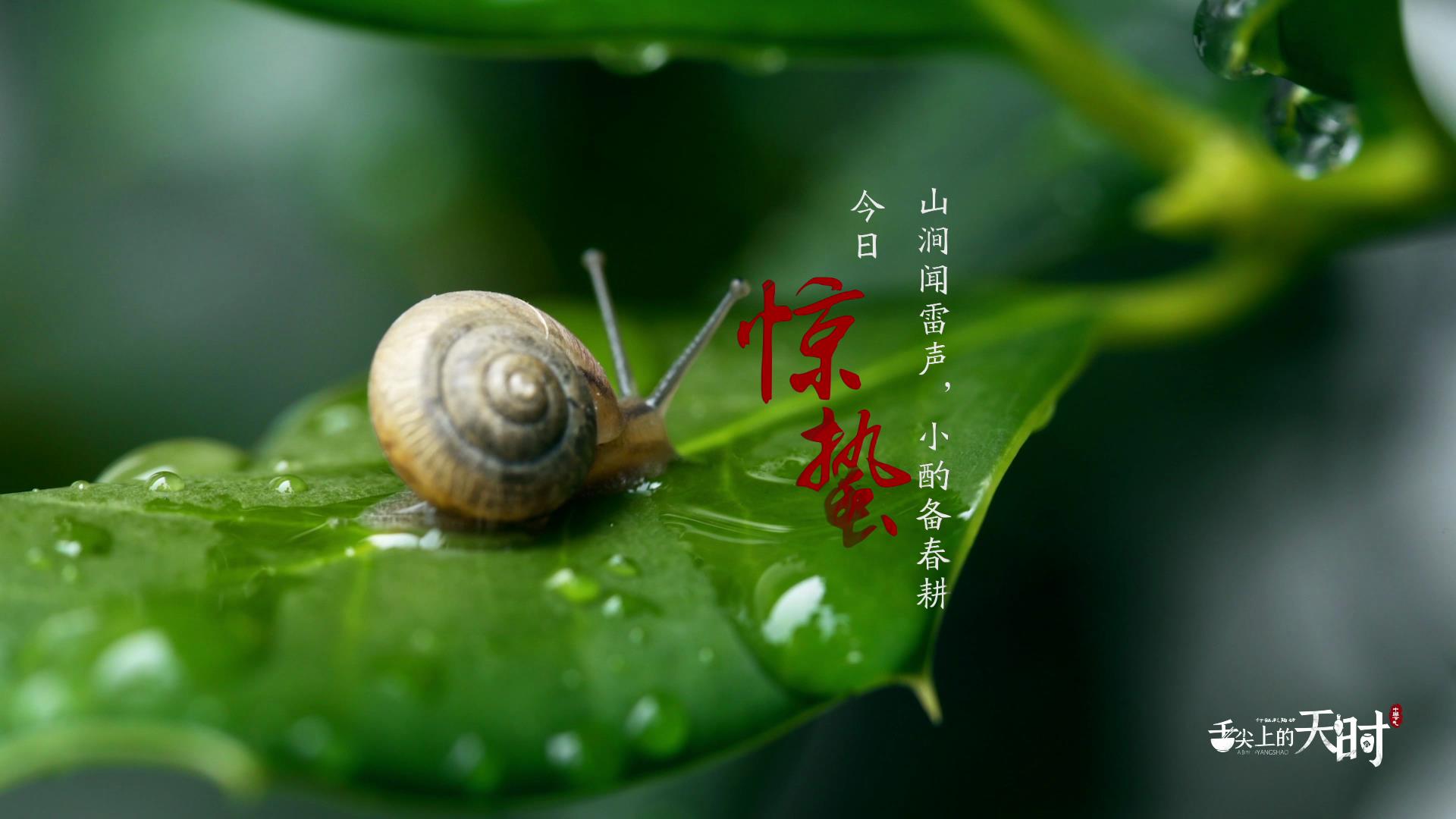 &#20048;&#40060;